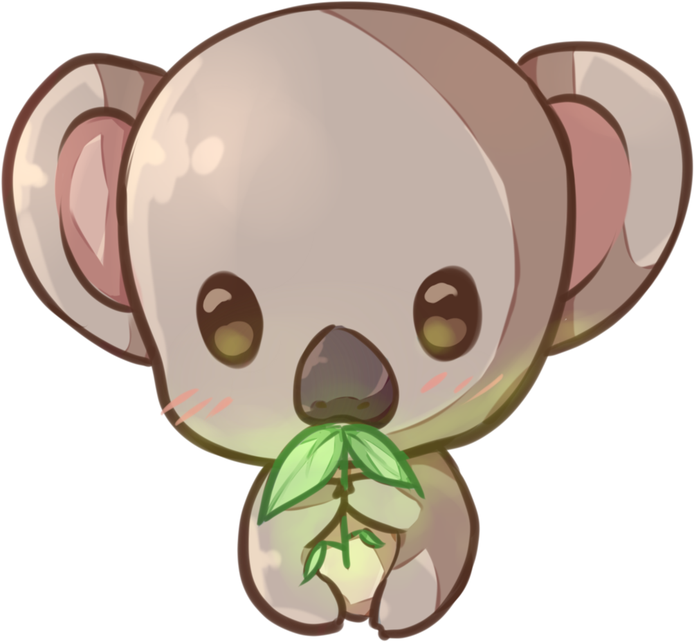 Koala Vecrtor HD Image Free PNG Image