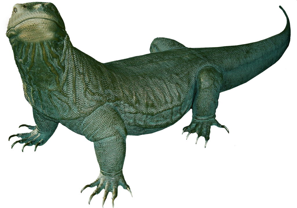 Komodo Dragon Free Png Image PNG Image