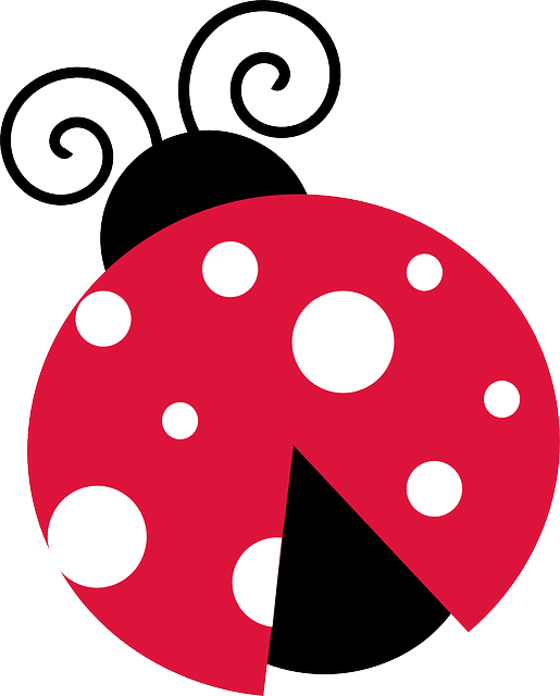 Ladybug Free Png Image PNG Image