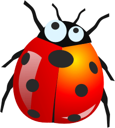 Ladybug Png Image PNG Image