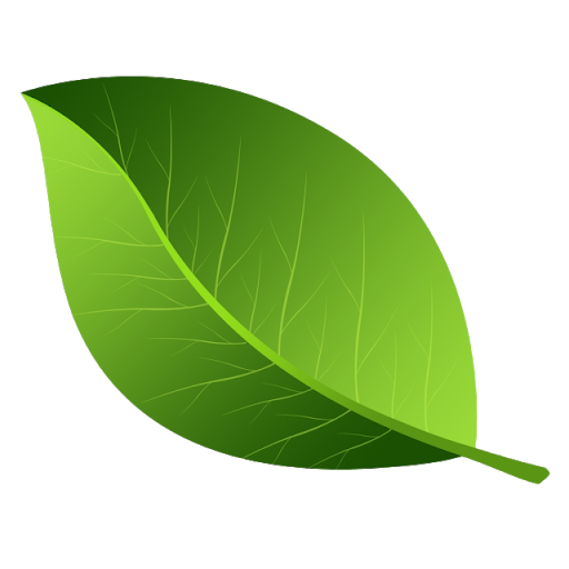 Vector Green Leafs HQ Image Free PNG Image