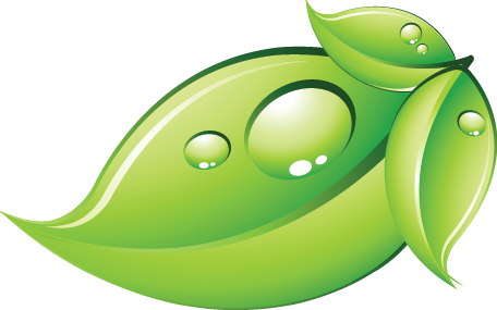 Green Leaf Free PNG HQ PNG Image