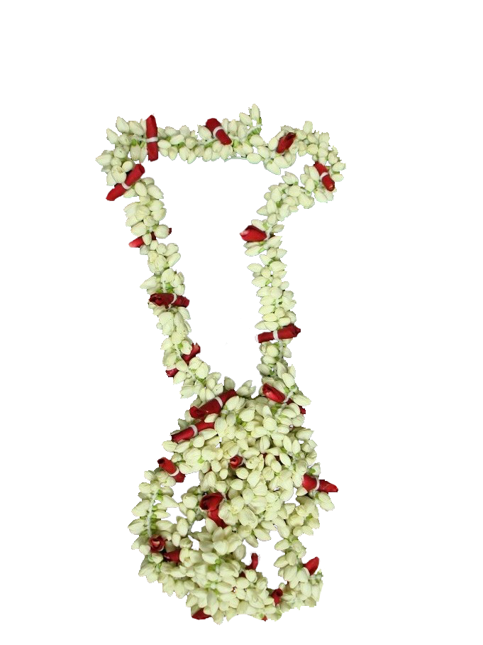 Jasmine Garland Free Download PNG HD PNG Image