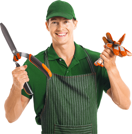 Gardening HQ Image Free PNG PNG Image