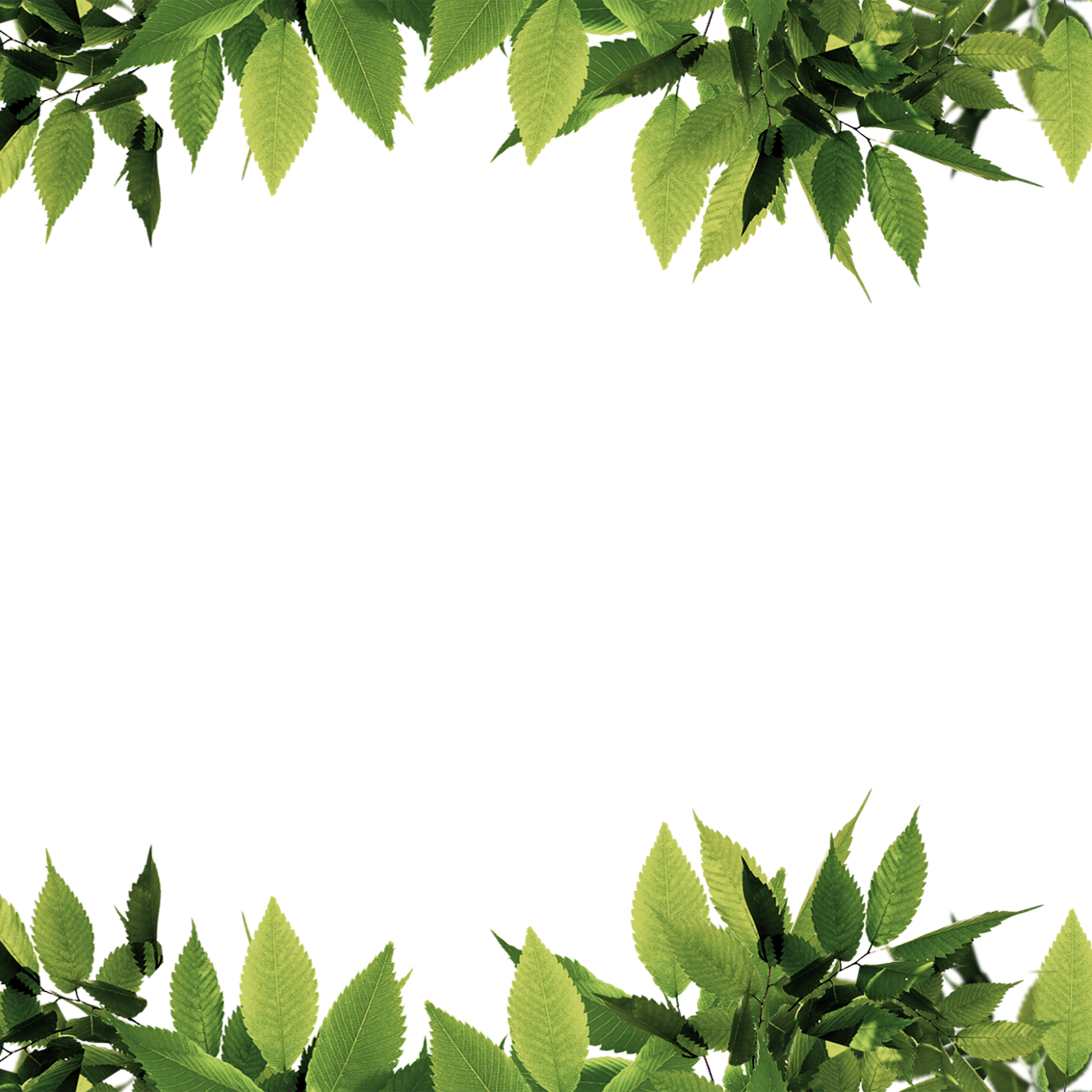 Leaf Leaves Computer Green File Border PNG Image