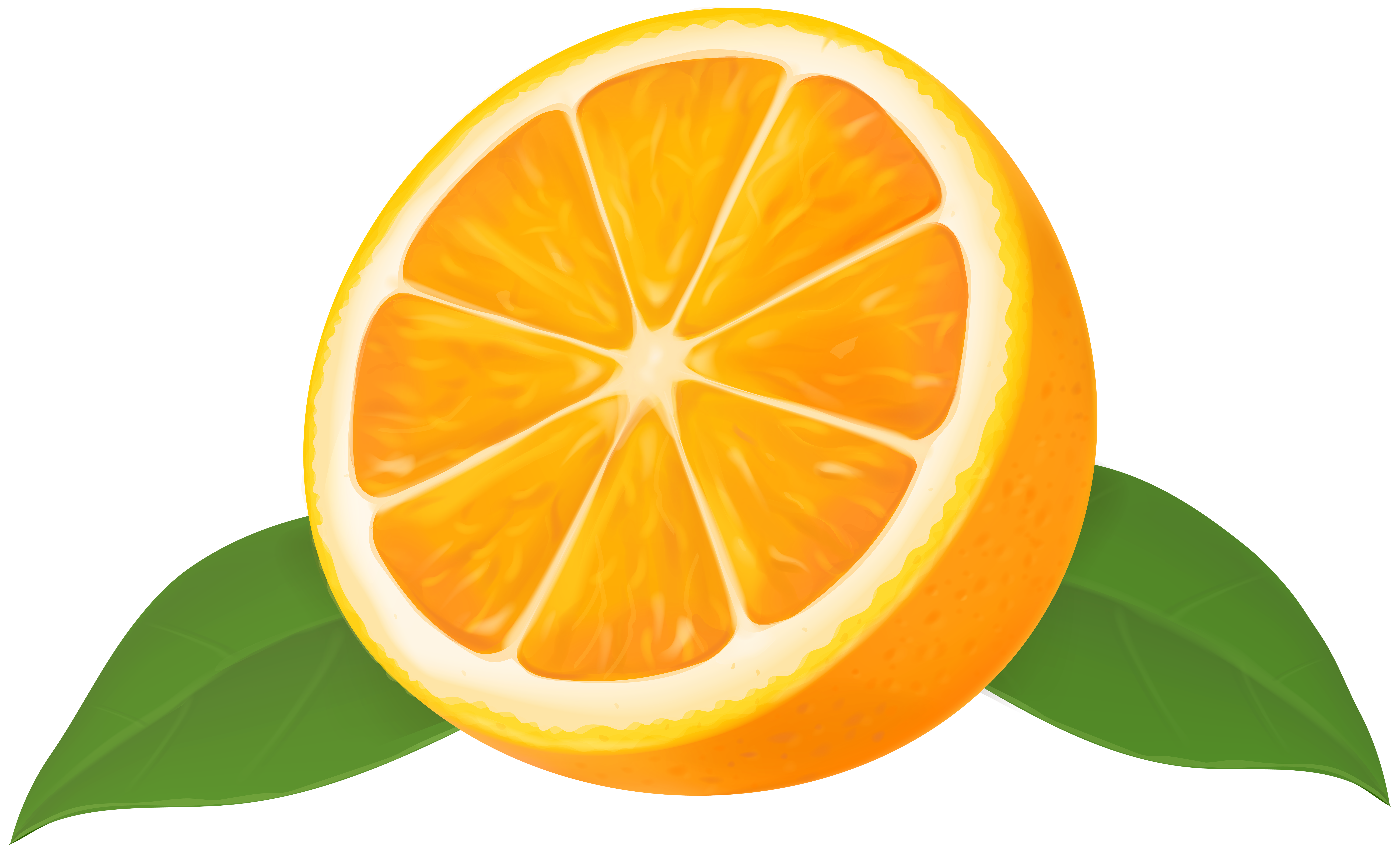 Lemon Half PNG Free Photo PNG Image