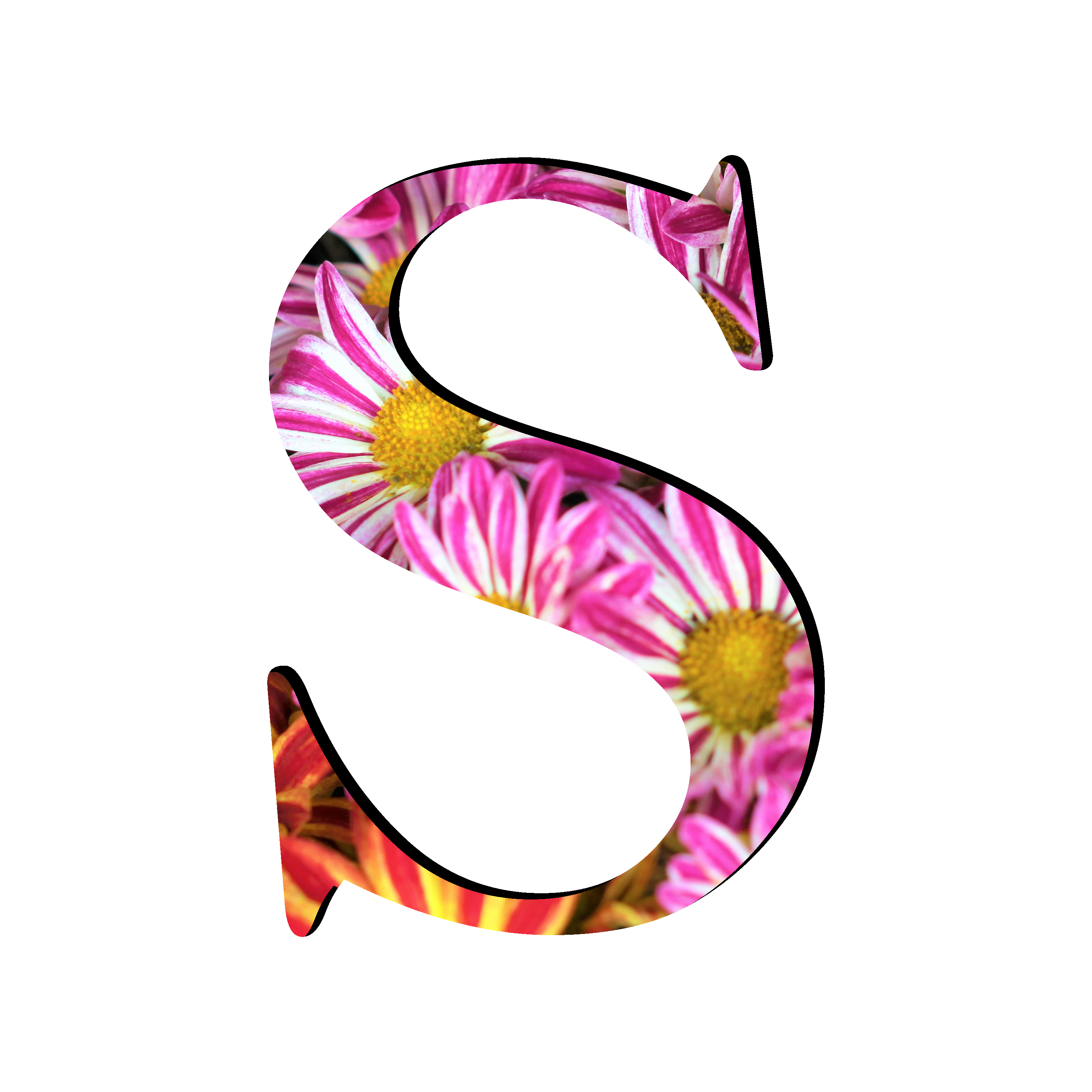 S Letter Free Transparent Image HQ PNG Image