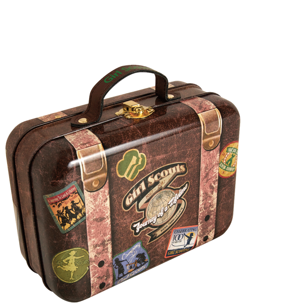 Desinger Luggage PNG Image