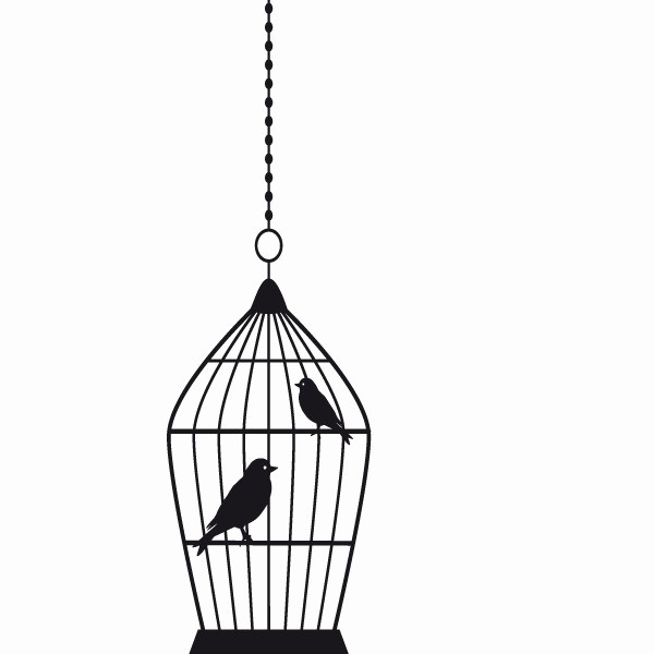 Caged Bird Image Free HD Image PNG Image