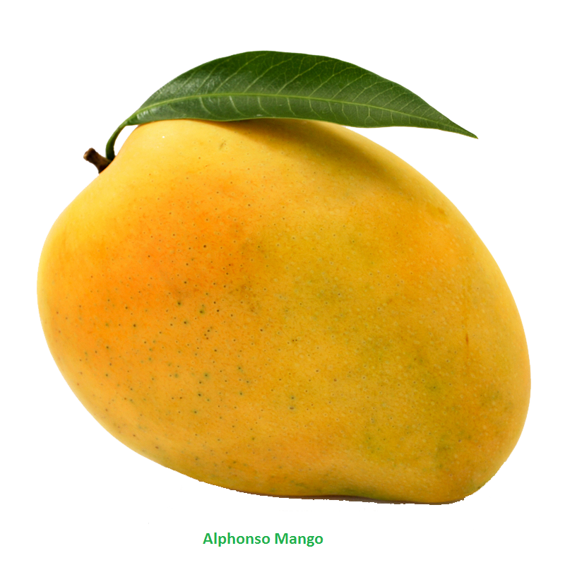 Mango Png PNG Image