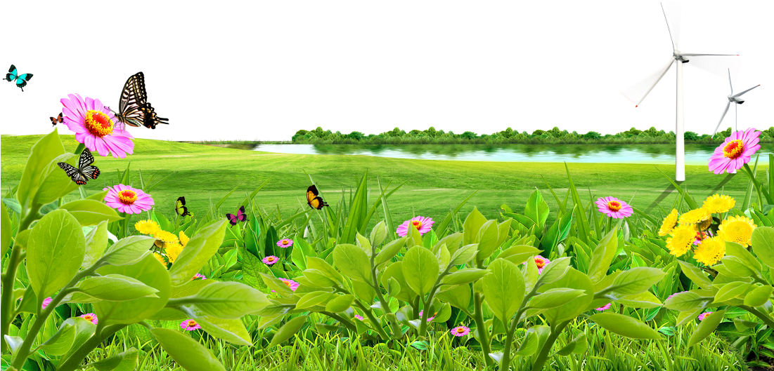 Meadow Download HQ PNG Image