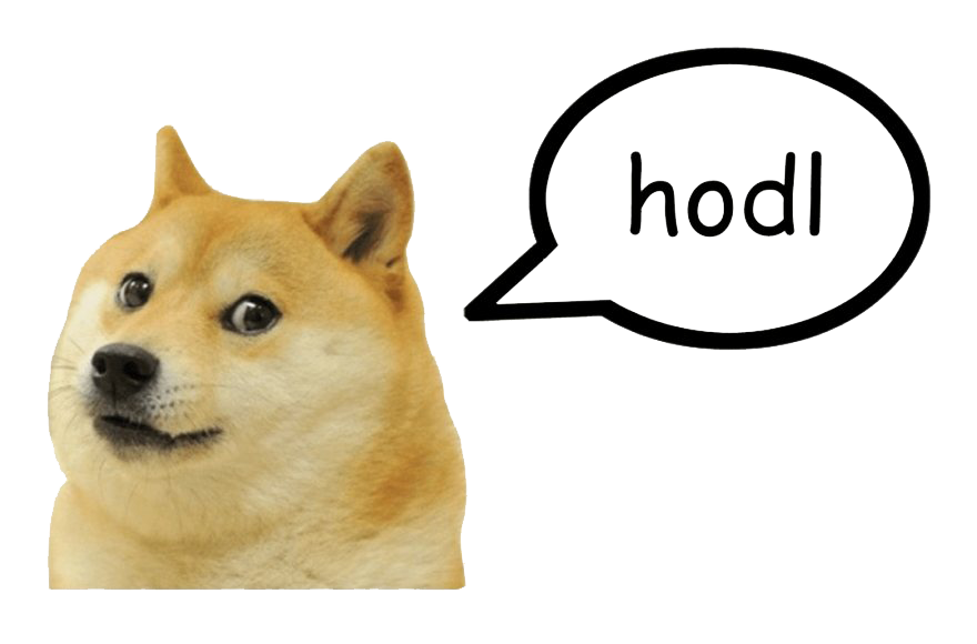 Meme Doge Pic HD Image Free PNG Image