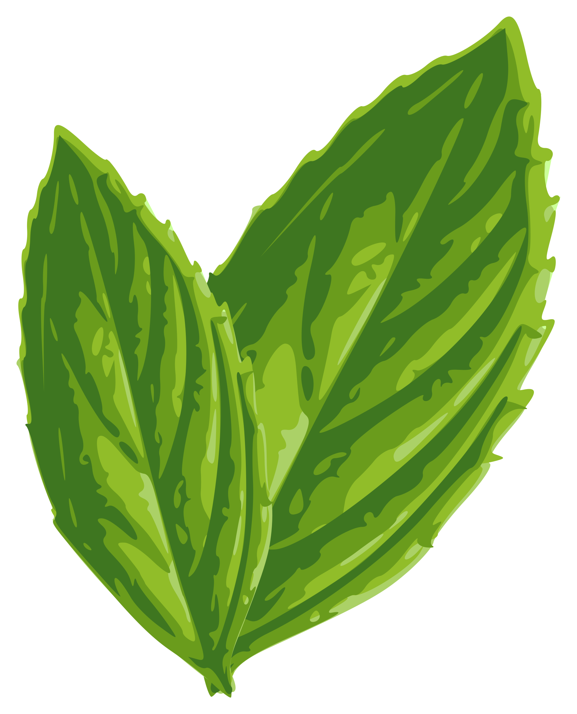 Mint Image PNG Image