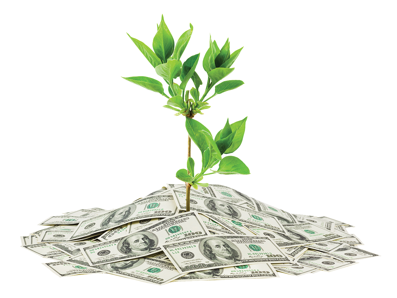 Wealth Image Free Transparent Image HD PNG Image