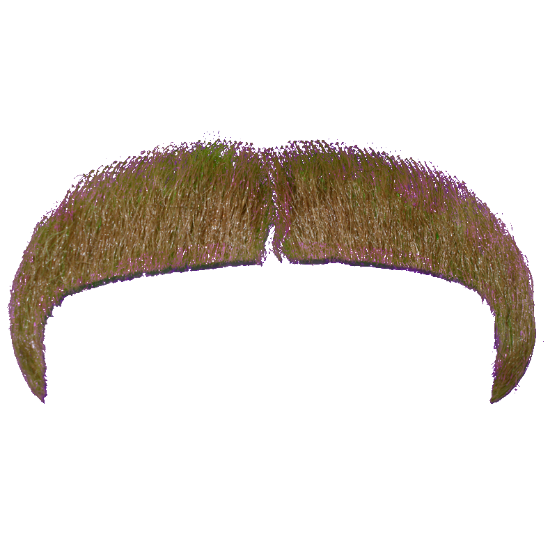 Moustache File PNG Image