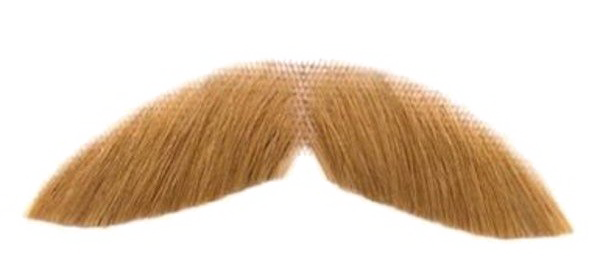 Fake Moustache Image Free Transparent Image HQ PNG Image