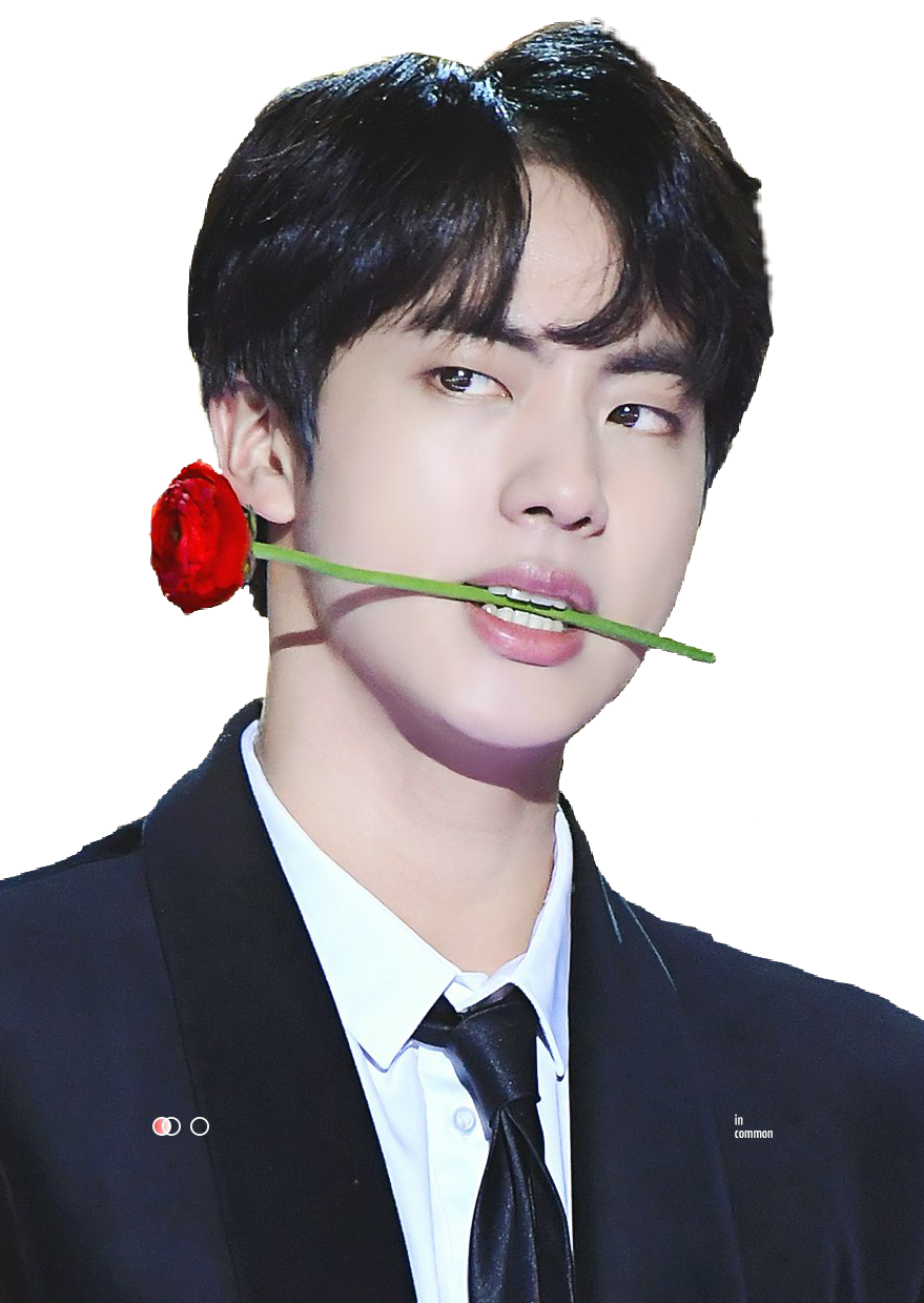 Kpop Hairstyle Bts Jin Hair Black PNG Image