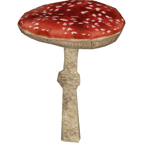 Amanita Muscaria Transparent Background PNG Image