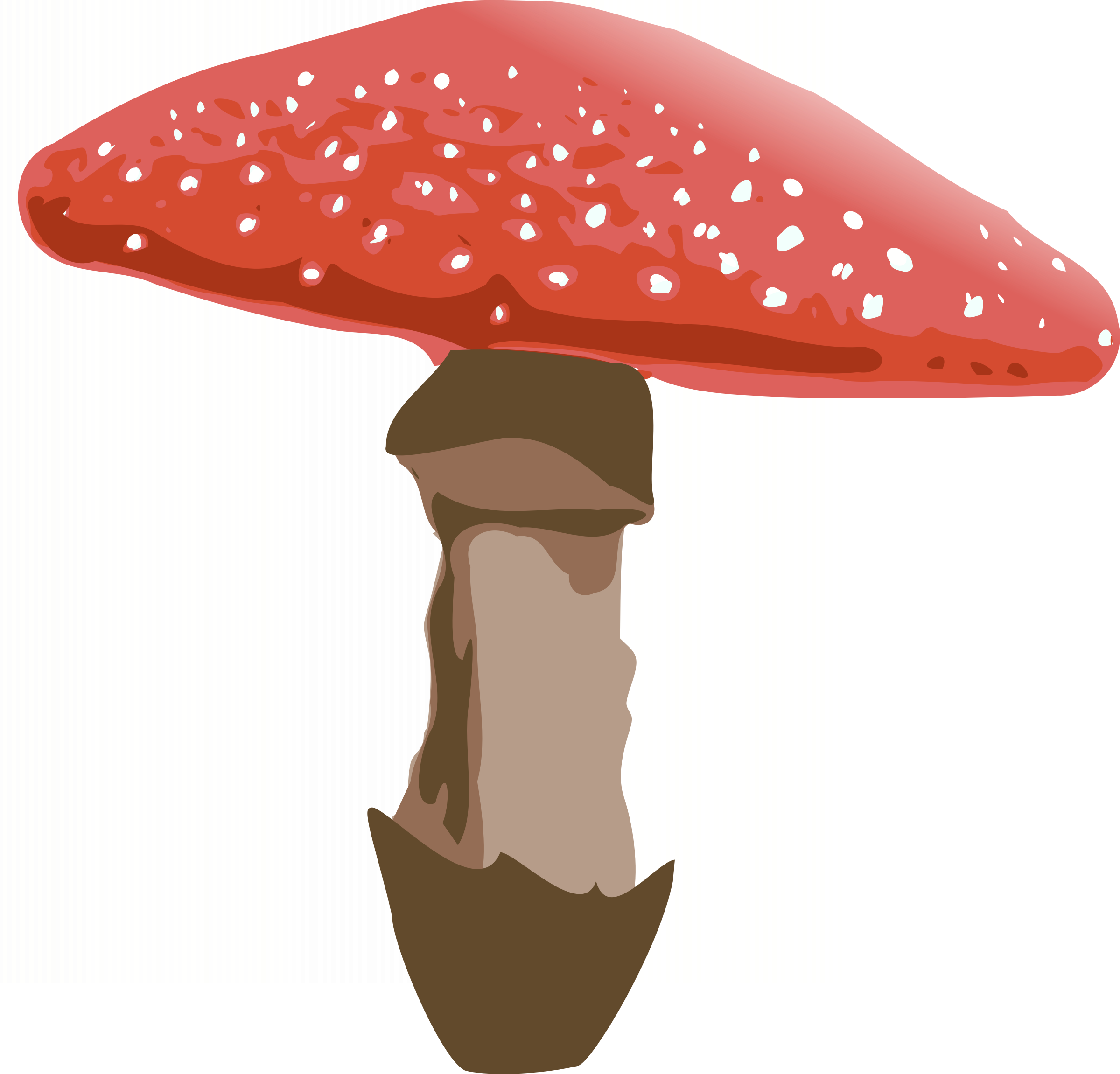 Amanita Muscaria File PNG Image