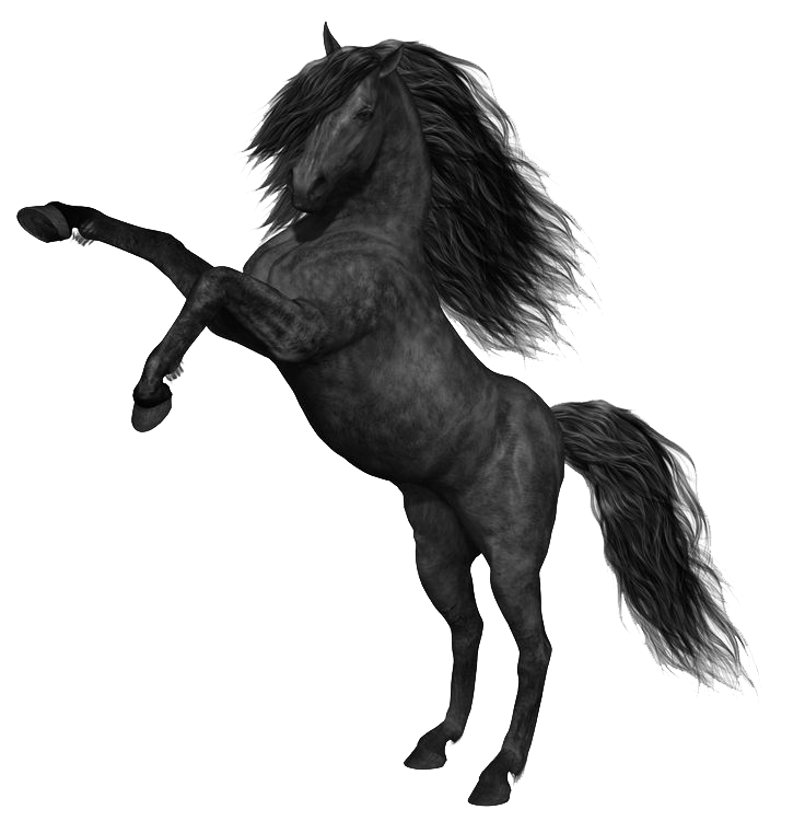 Mustang Horse Photos PNG Image