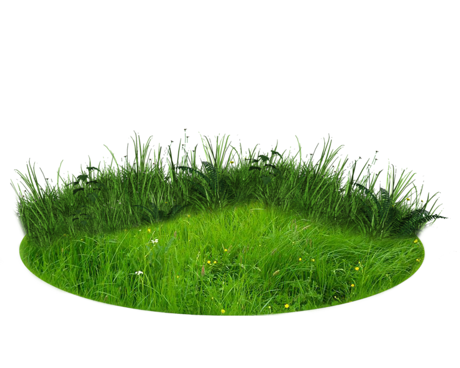 Nature Transparent Background PNG Image