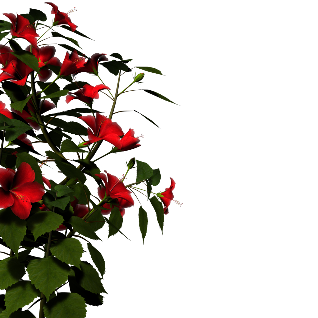 Nature Hd PNG Image