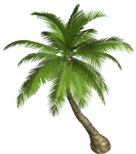 Nature Download Png PNG Image