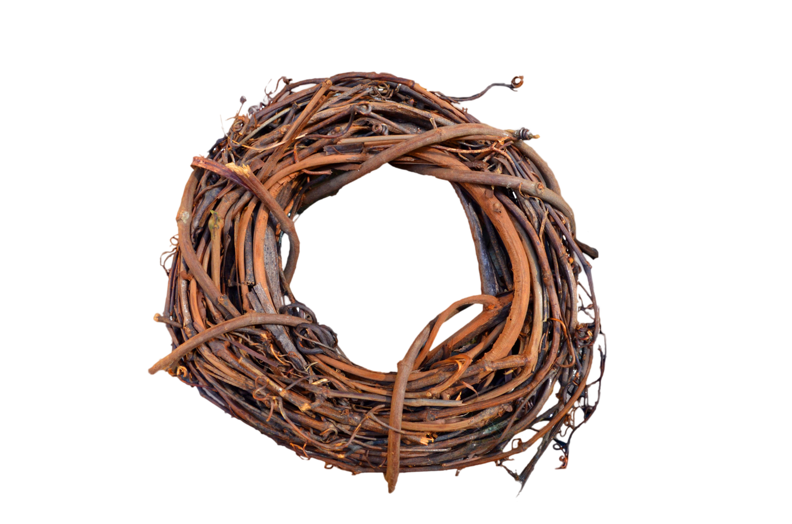 Nest Transparent PNG Image