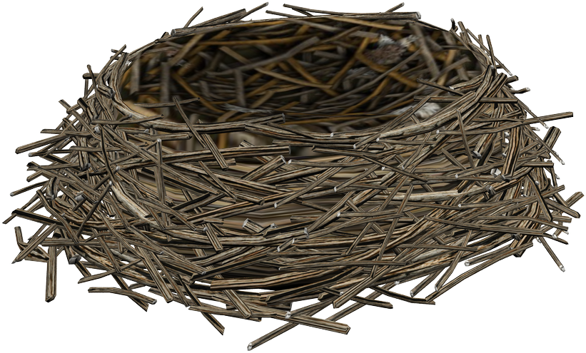 Nest Bird Empty Free HD Image PNG Image