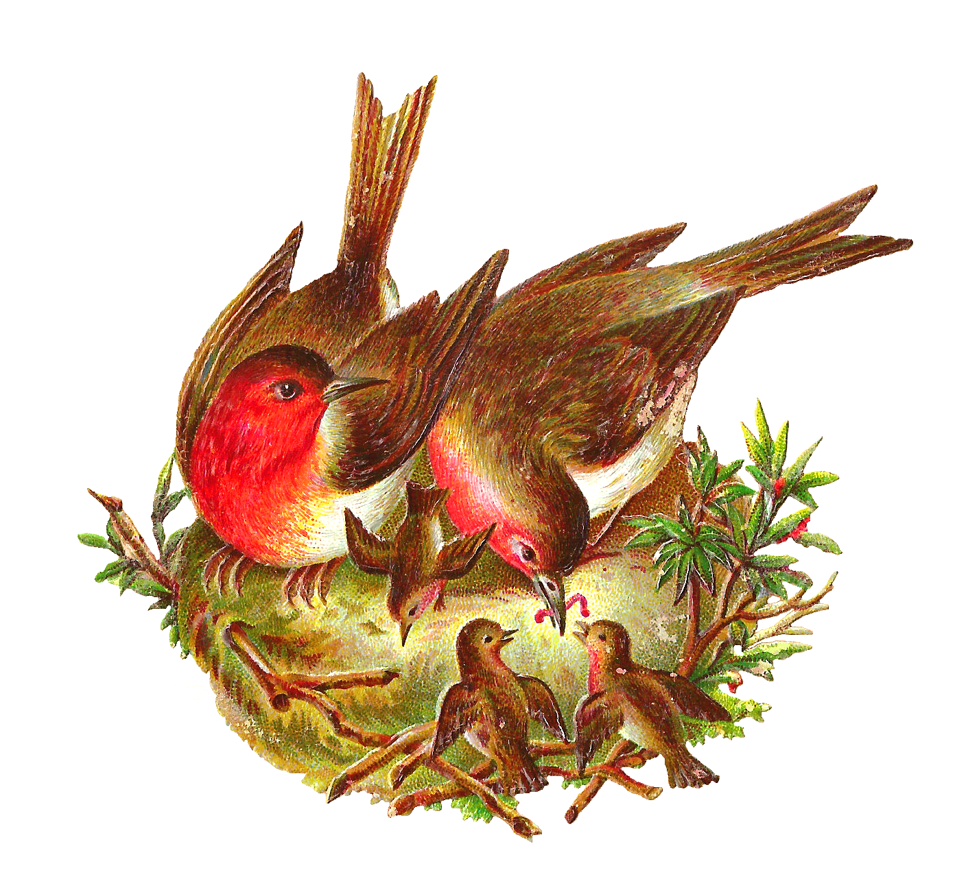 Nest Png Pic PNG Image