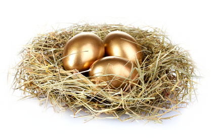 Nest Download Png PNG Image