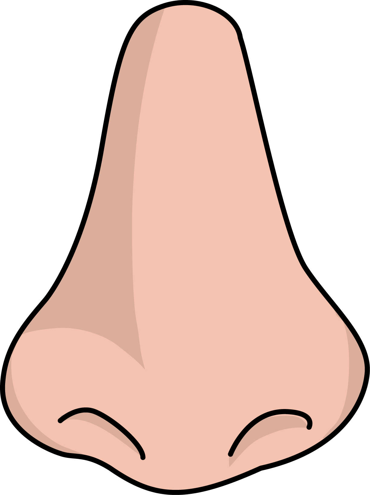 Nose Hd PNG Image