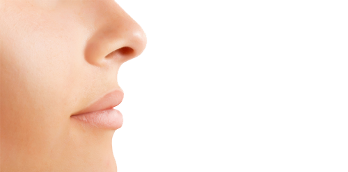 Nose Image PNG Image