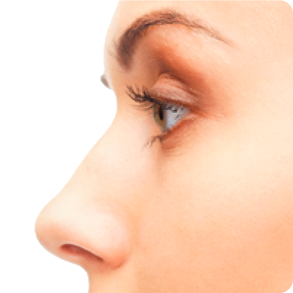 Nose Transparent PNG Image