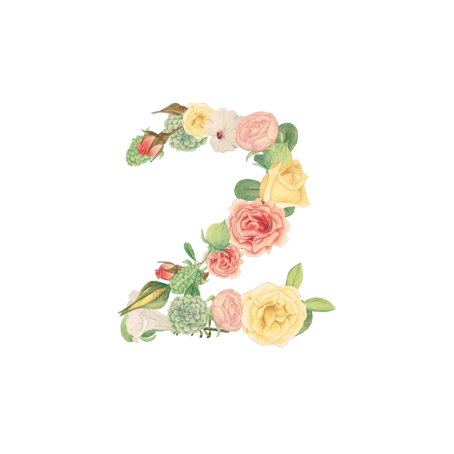 Floral Number Free Download Image PNG Image