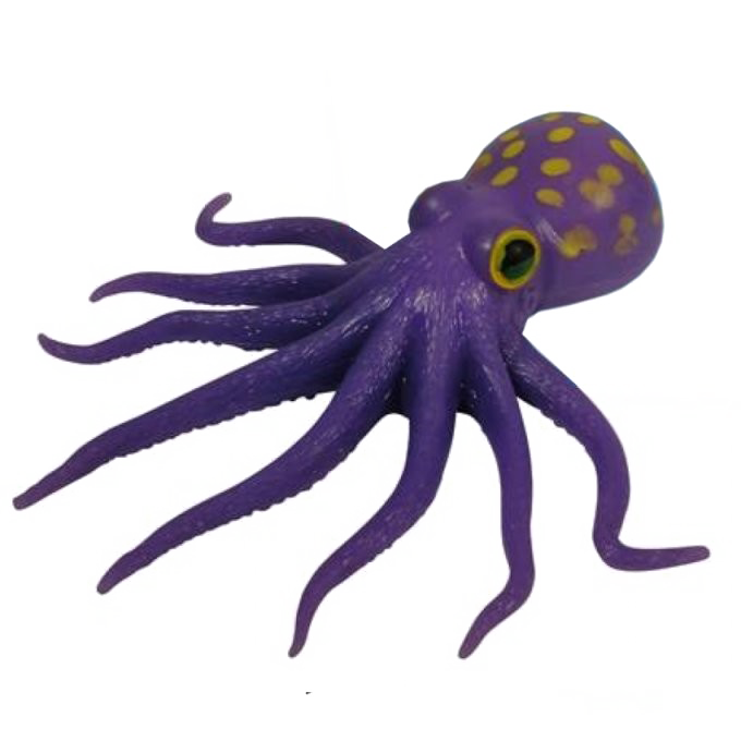 Octopus Image HQ Image Free PNG PNG Image