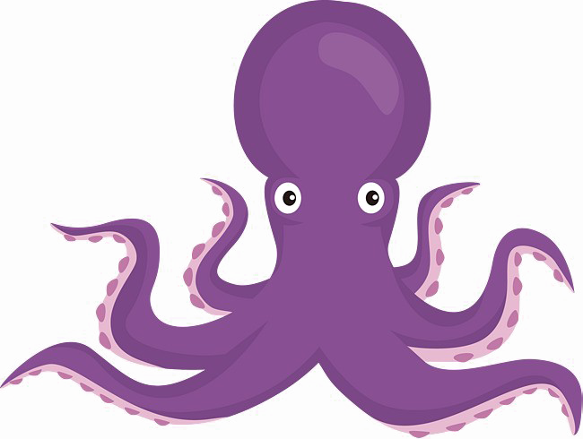 Octopus Image Free Transparent Image HD PNG Image