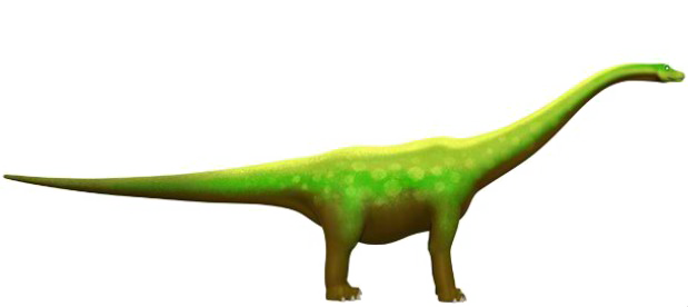 Diplodocus Image Free PNG HQ PNG Image