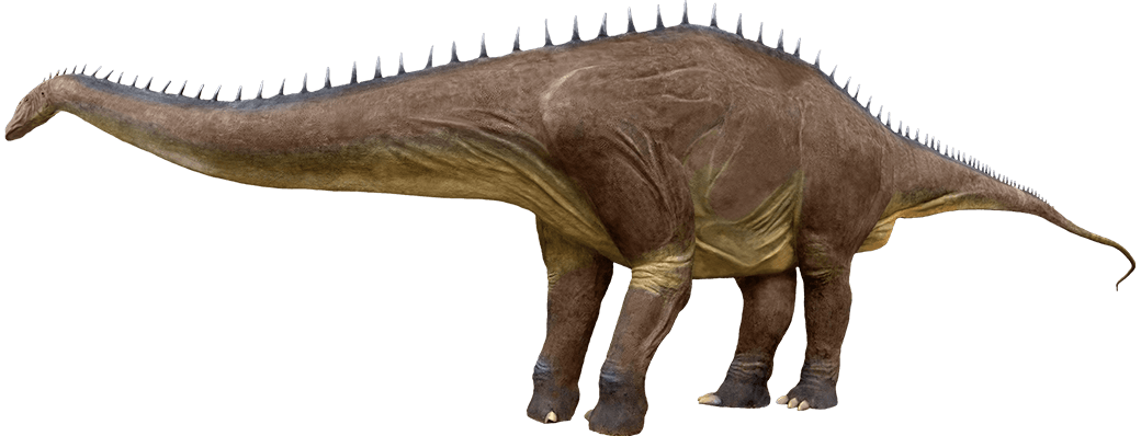 Diplodocus Download PNG Download Free PNG Image