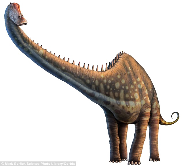 Diplodocus Photos Free HQ Image PNG Image