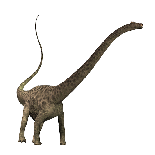 Diplodocus Image PNG Free Photo PNG Image