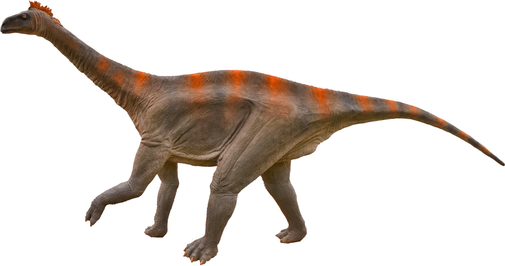 Diplodocus Free Transparent Image HQ PNG Image