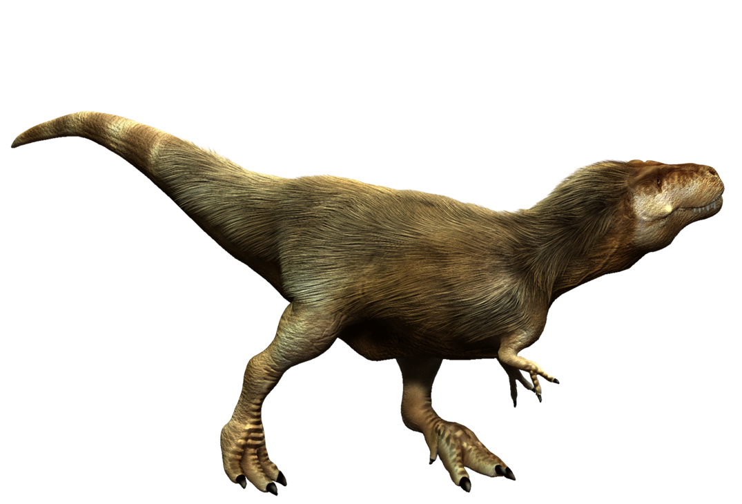 T Rex HD Free Download Image PNG Image