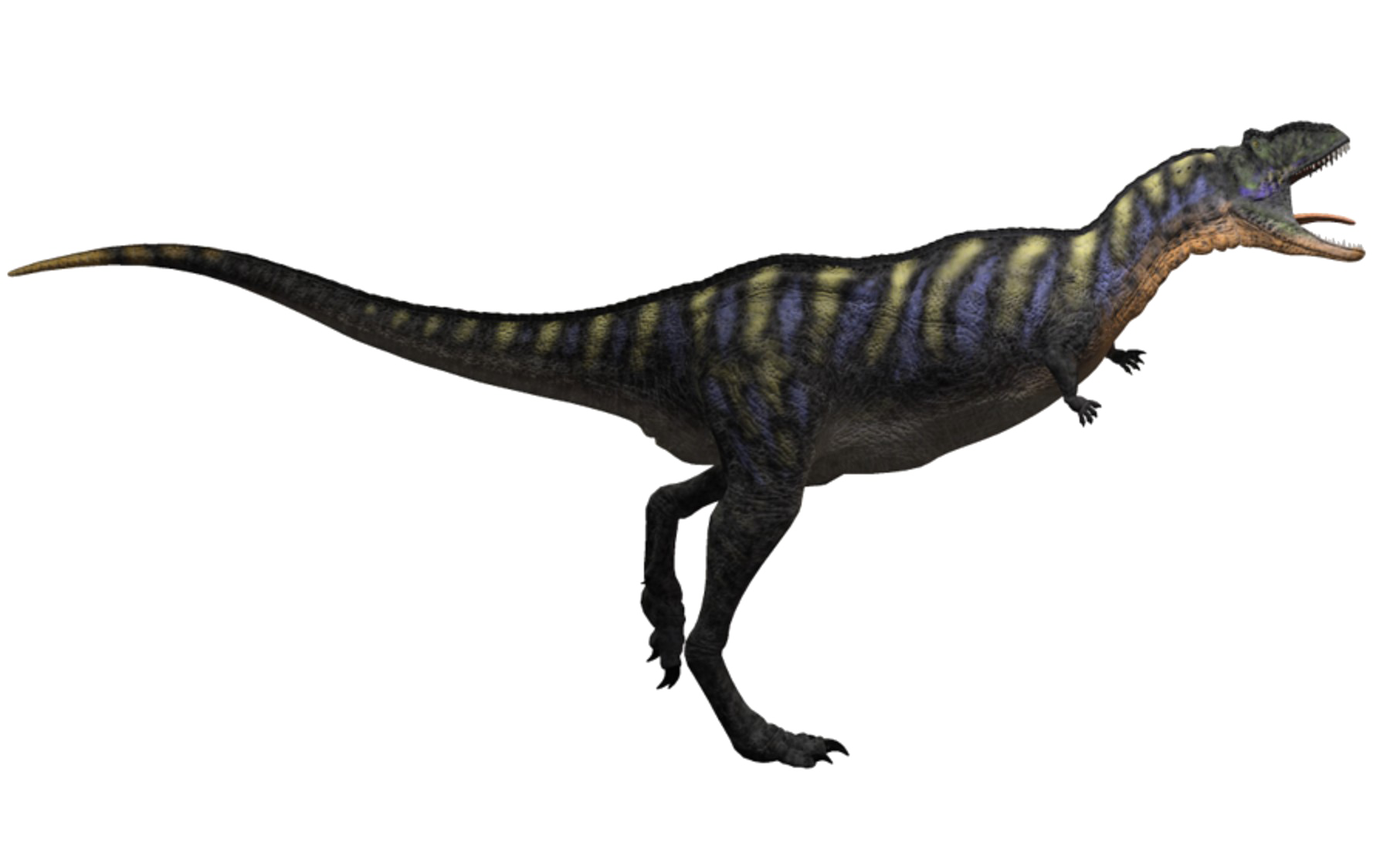 Theropod Photos HD Image Free PNG PNG Image