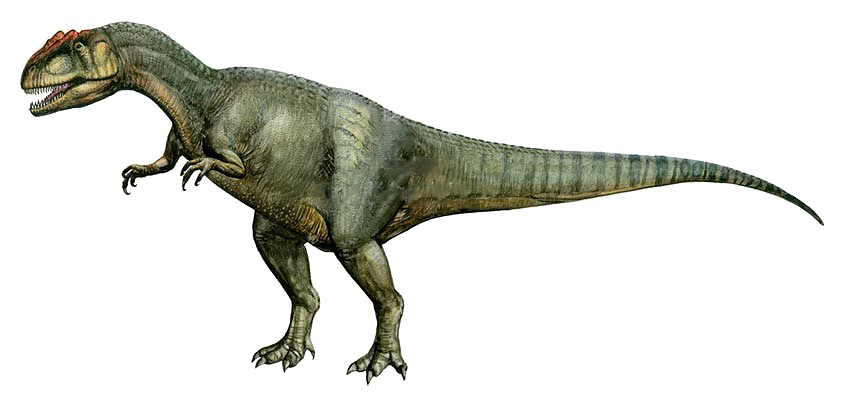 Theropod Image HQ Image Free PNG PNG Image