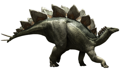 Stegosaurus Image PNG Free Photo PNG Image