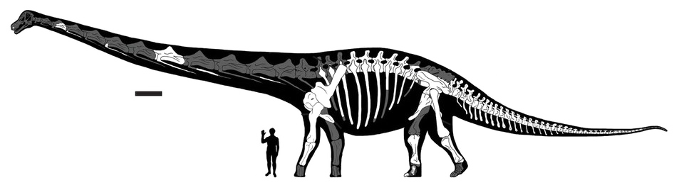 Sauropod HD Free HD Image PNG Image