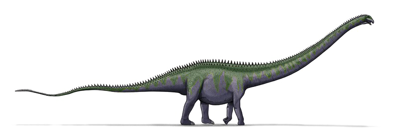 Sauropod Images Download Free Image PNG Image