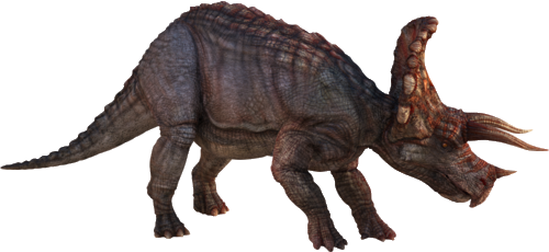 Triceratop HD HD Image Free PNG PNG Image