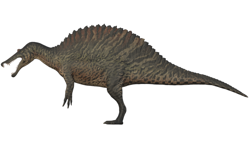 Spinosaurus Image PNG Free Photo PNG Image